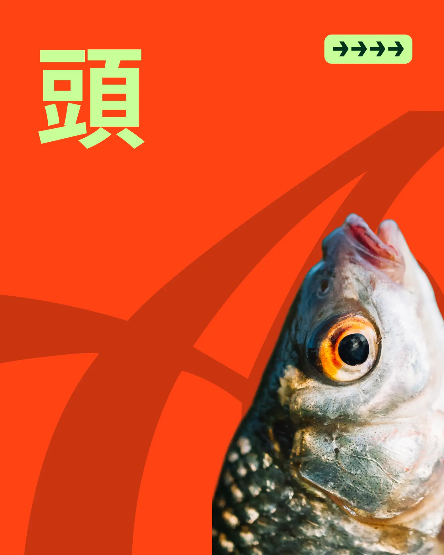 Gráfica de marca ATAMA con el kanji 頭